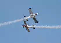 Private, Zlin Z-42, D-EWOF/D-EWNE, Flugplatz Bienenfarm, 18.05.2019