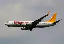 Pegasus, Boeing B 737-8GJ, TC-CPR, SXF, 24.05.2019