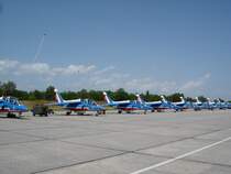  Patrouille France , Kunstflugstaffel der franzsischen Luftwaffe,
seit 1980 mit 8 oder 9 Alpha Jet zu sehen,
Colmar-Meyenheim Juni 2006