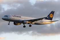 Lufthansa, D-AIPW, Airbus, A320-211, 02.01.2010, GVA, Geneve, Switzerland 

