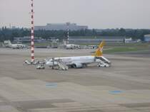 Eine Boeing 737-800 der Pegasus Airlines steht am 12.07.2007 in Dsseldorf auf dem Vorfeld des Terminals B und wird abgefertigt.