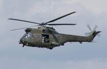 Ein Puma der Royal Air Force im Anflug auf den Flugplatz Kleine - Brogel. Das Foto stammt vom 17.07.2007