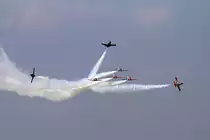 Spain - Air Force, Casa, C-101EB Aviojet, 26.06.2010, LFQI, Cambrai-Epinoy, France 