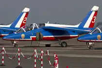 France - Air Force, E165 (F-TERE), Dassault-Dornier, Alpha-Jet E, 26.06.2010, LFQI, Cambrai-Epinoy, France


