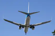 KLM Royal Dutch Airlines
Boeing 737-800
Berlin-Tegel
19.08.10