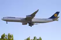 Lufthansa, D-AIGK, Airbus, A340-311, 12.10.2010, FRA, Frankfurt, Germany 




