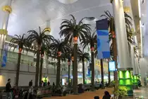 Palmen im Dubai Airport.Aufnahmedatum:  25.12.2010