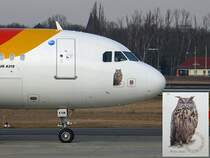 Iberia 319 EC-KHM Berlin TXL 17.02.2008