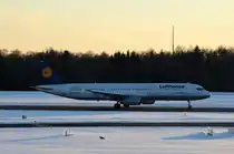 Gut das der Fuchs nicht vor dem in Hamburg Startenden Lufthansa Airbus A321-100 D-AIRH Garmisch-Partenkirchen auf die Startbahn gelaufen ist aufgenommen am 12.03.13