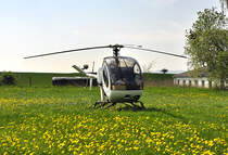 Hu 300 C D-HRIT auf einer  Blumenwiese  in Dattenberg - 06.05.2013