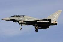 Germany - Air Force 30+35 Eurofighter EF-2000 Typhoon 10.01.2008 ETSN Neuburg, Germany