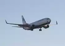 SunExpress B 737-8HC TC-SNR bei der Landung in Berlin-Tegel am 30.12.2013