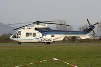Germany Air-Force, 82+01, Eurocopter, AS-532U2 Cougar II, 04.04.2009, EDTO, Offenburg, Germany 

