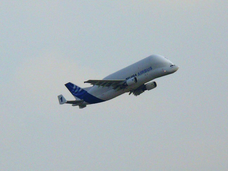 Zufllig kam ich dazu, als BELUGA AIRBUS 1 startete; Hamburg-Finkenwerder, 04.03.2009 14:28
